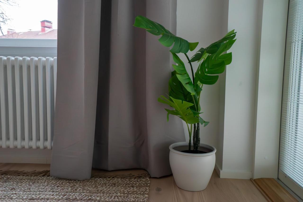 A New Apartment In เฮลซิงกิ ภายนอก รูปภาพ